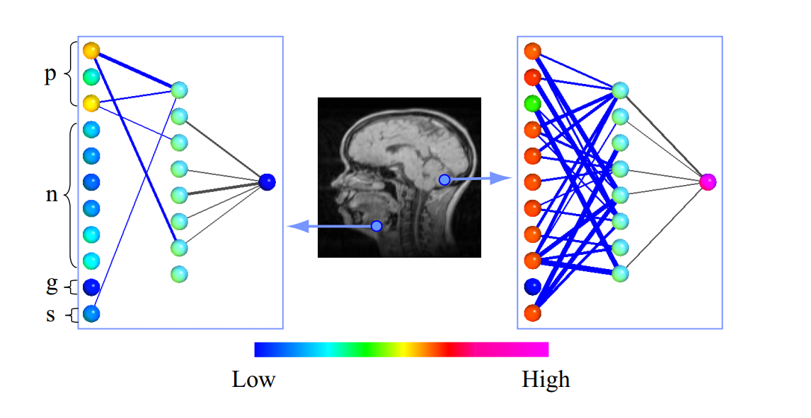 weights visualization in neural networks