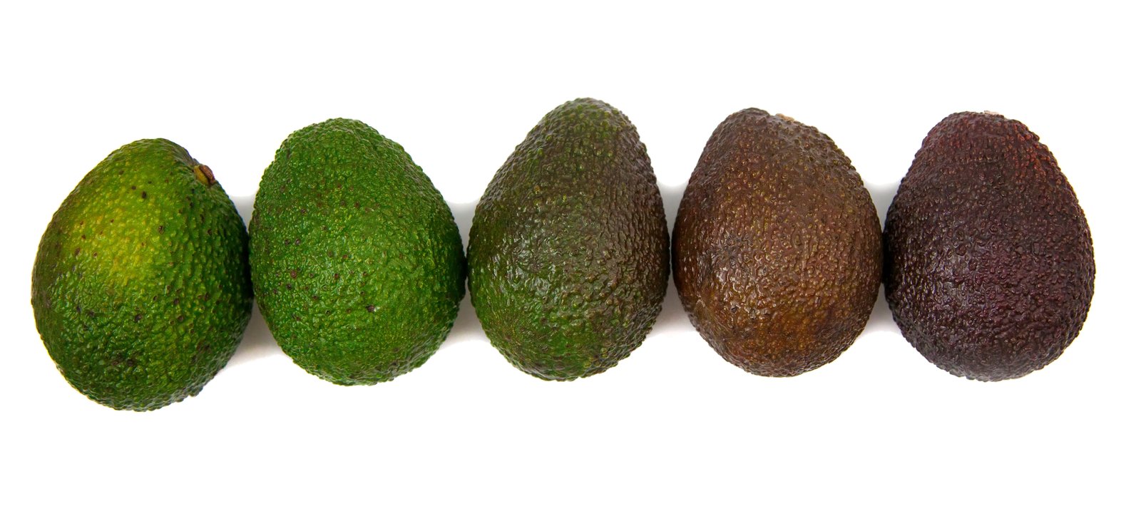 ripening avocados