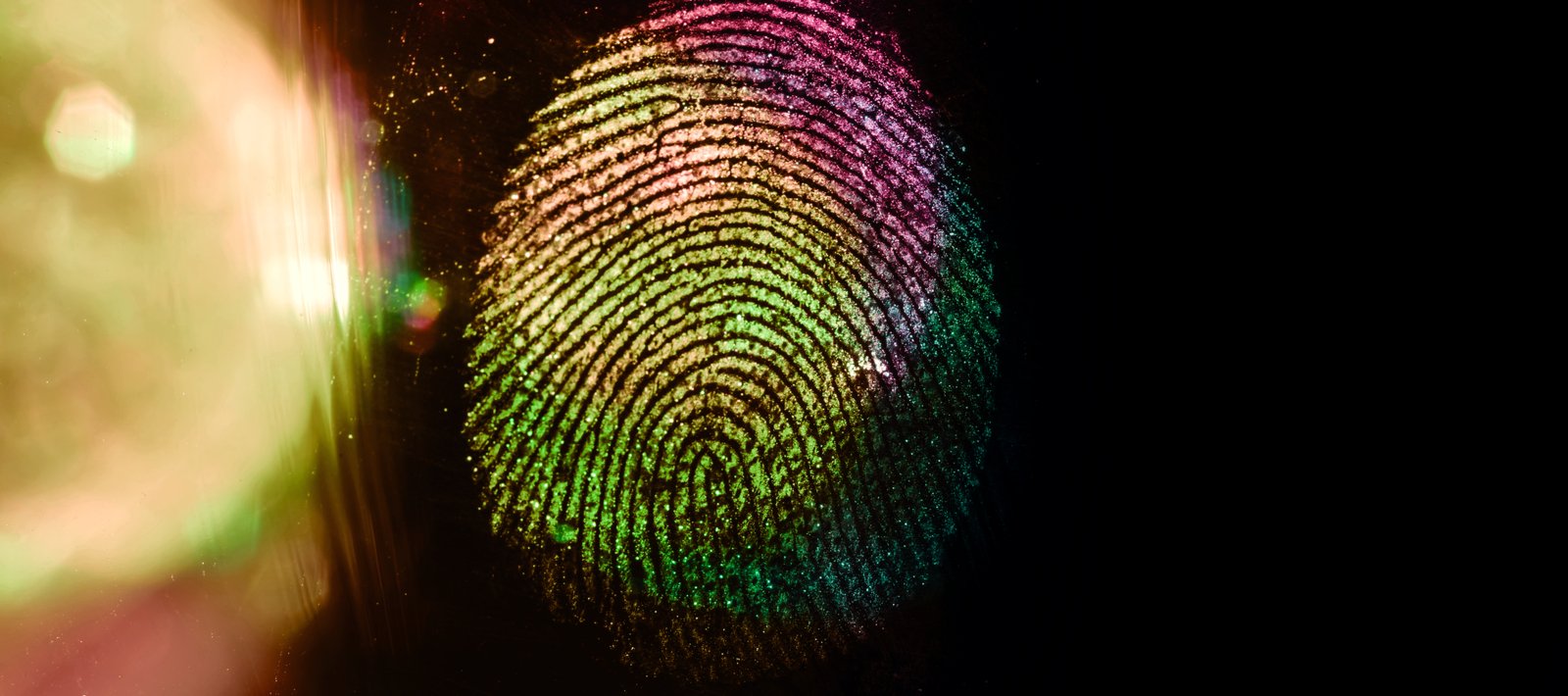 macro fingerprint