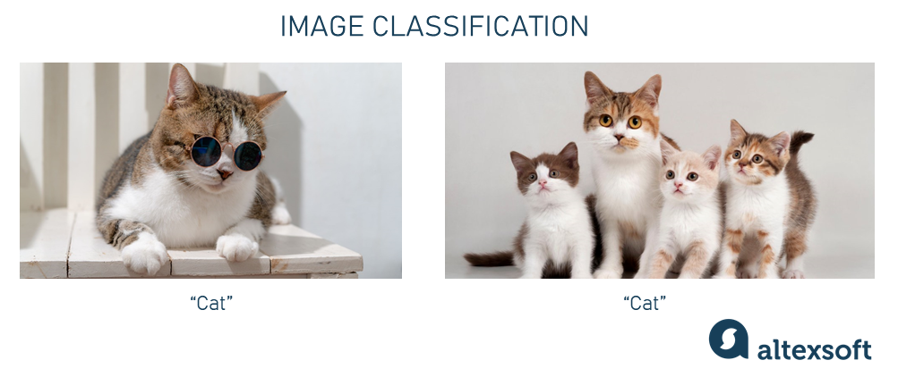 Image classification example
