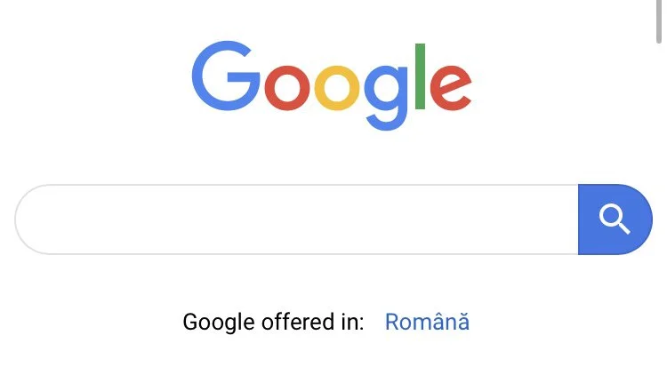 google language suggestion