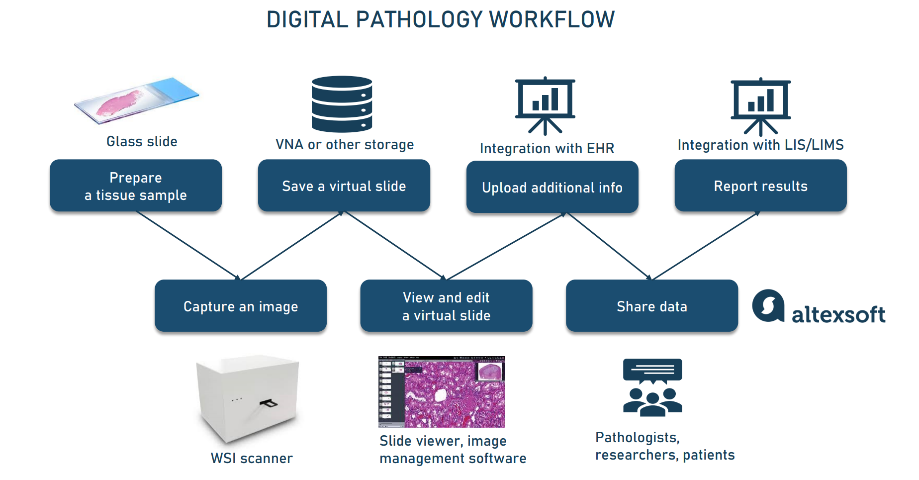 Digital pathology workflow