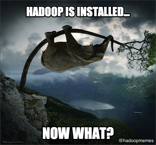 Hadoop now what meme