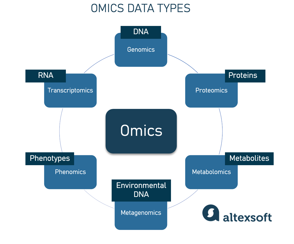 An overview of omics disciplines and what they study