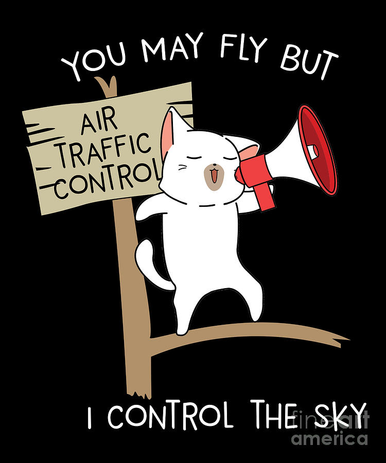 air traffic controls the sky