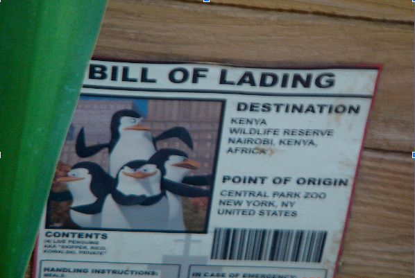 funny picture about Bill of Lading 